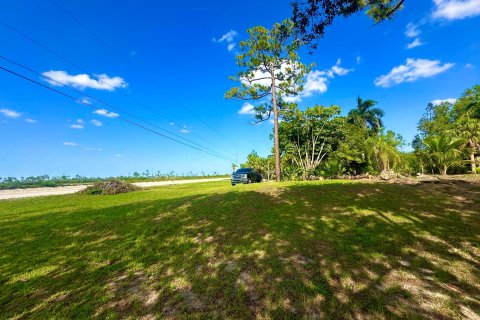 Villa ou maison à vendre à Loxahatchee Groves, Floride: 3 chambres, 129.32 m2 № 1208587 - photo 11