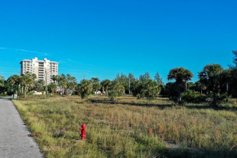 Terrain à vendre à Hutchinson Island South, Floride № 945670 - photo 6