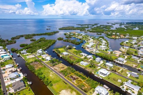 Land in Punta Gorda, Florida № 1393310 - photo 5