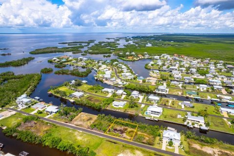 Land in Punta Gorda, Florida № 1393310 - photo 4