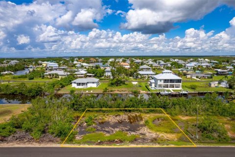 Land in Punta Gorda, Florida № 1393310 - photo 10