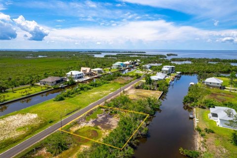 Land in Punta Gorda, Florida № 1393310 - photo 8