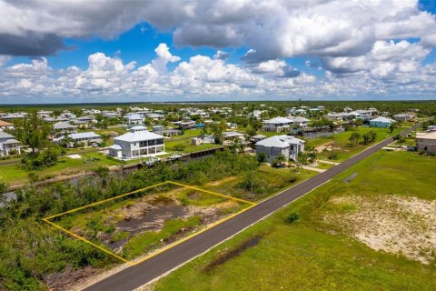 Land in Punta Gorda, Florida № 1393310 - photo 9