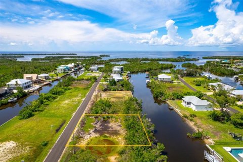 Land in Punta Gorda, Florida № 1393310 - photo 7