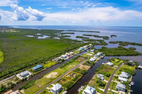 Land in Punta Gorda, Florida № 1393310 - photo 2