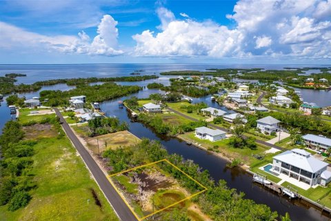 Land in Punta Gorda, Florida № 1393310 - photo 1