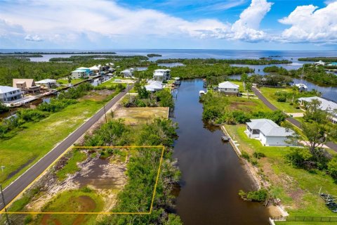 Land in Punta Gorda, Florida № 1393310 - photo 11