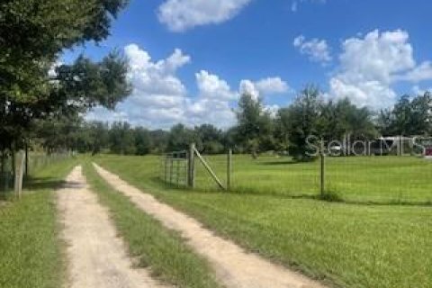 Terreno en venta en Clermont, Florida № 1354374 - foto 4