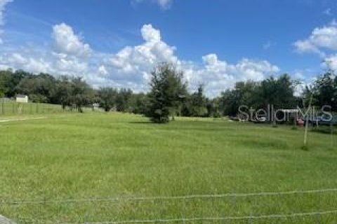 Terreno en venta en Clermont, Florida № 1354374 - foto 6