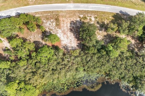 Terreno en venta en Ocklawaha, Florida № 1399706 - foto 11