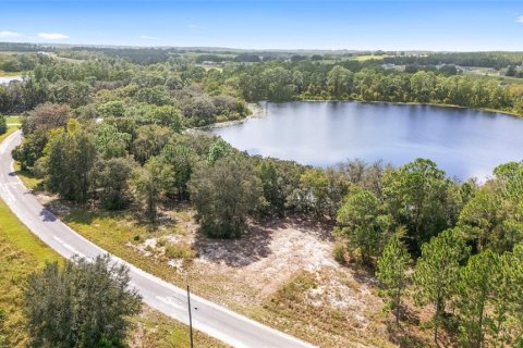 Terreno en venta en Ocklawaha, Florida № 1399706 - foto 5