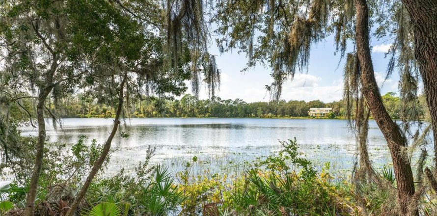 Terreno en Ocklawaha, Florida № 1399706