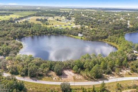 Terreno en venta en Ocklawaha, Florida № 1399706 - foto 12