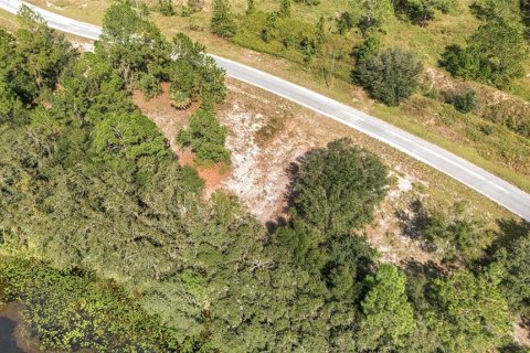 Terreno en venta en Ocklawaha, Florida № 1399706 - foto 10