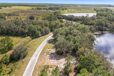 Terreno en venta en Ocklawaha, Florida № 1399706 - foto 6