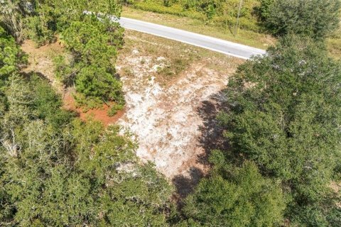 Terreno en venta en Ocklawaha, Florida № 1399706 - foto 16