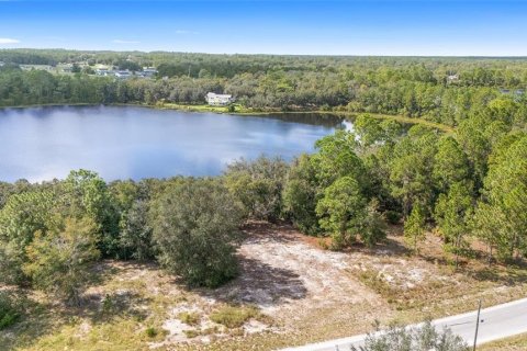 Terreno en venta en Ocklawaha, Florida № 1399706 - foto 2