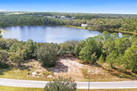 Terreno en venta en Ocklawaha, Florida № 1399706 - foto 4