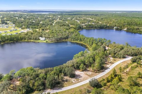 Terreno en venta en Ocklawaha, Florida № 1399706 - foto 14