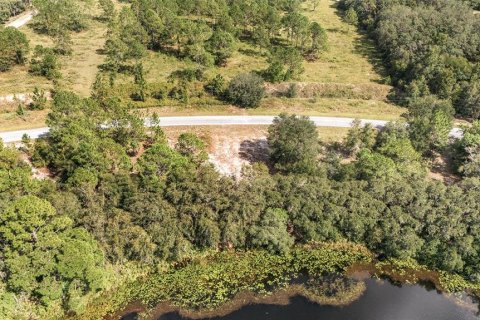 Terreno en venta en Ocklawaha, Florida № 1399706 - foto 8