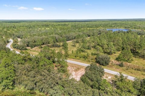 Terreno en venta en Ocklawaha, Florida № 1399706 - foto 9