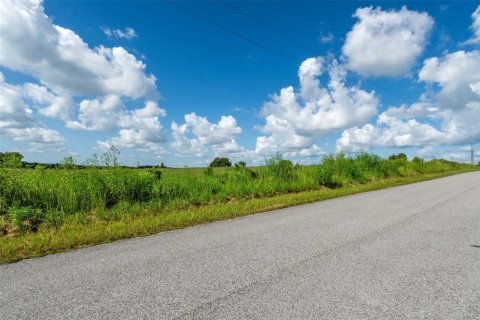 Land in Brooksville, Florida № 1297637 - photo 15