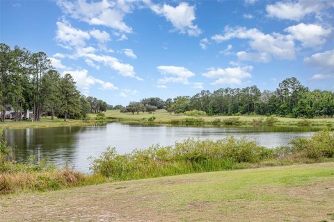 Condo in Ocala, Florida, 1 bedroom  № 1403626 - photo 20