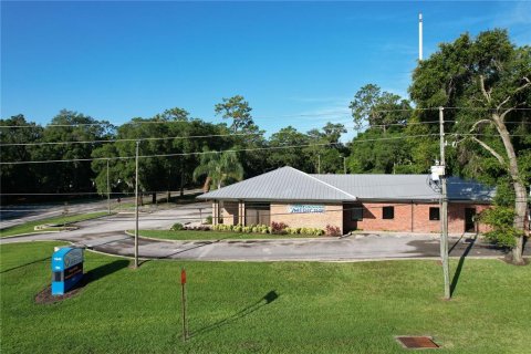 Commercial property in DeLand, Florida 405.89 sq.m. № 1211780 - photo 3