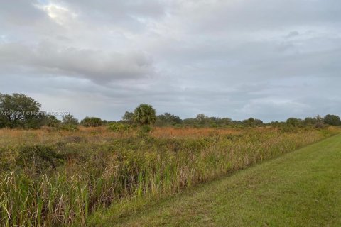 Land in Okeechobee, Florida № 889730 - photo 7
