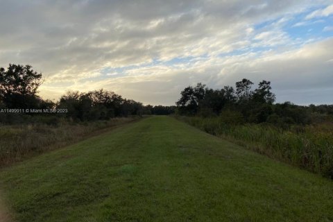 Terrain à vendre à Okeechobee, Floride № 889730 - photo 4