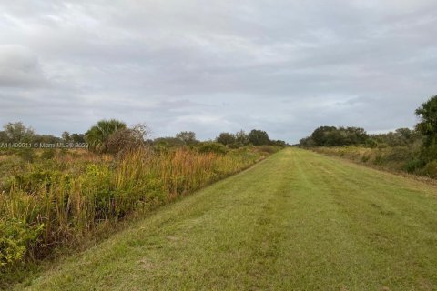 Купить земельный участок в Окичоби, Флорида № 889730 - фото 9