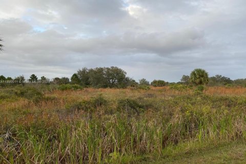 Купить земельный участок в Окичоби, Флорида № 889730 - фото 8