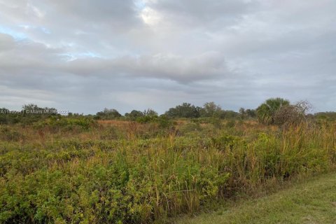 Land in Okeechobee, Florida № 889730 - photo 10