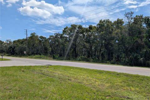 Land in Hudson, Florida № 1390310 - photo 1