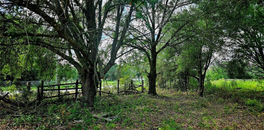 Terreno en Lakeland, Florida № 1261498