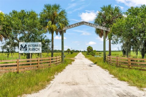 Terrain à vendre à Okeechobee, Floride № 862659 - photo 1