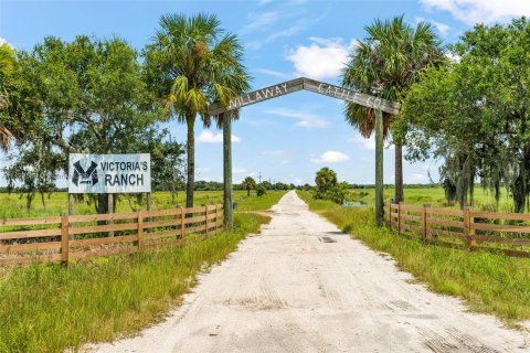 Terreno en venta en Okeechobee, Florida № 862659 - foto 1