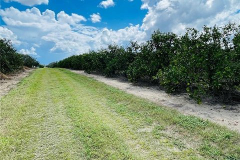 Купить земельный участок в Лейк-Плэсид, Флорида № 1124611 - фото 6