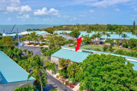 Copropriété à vendre à Islamorada, Village of Islands, Floride: 2 chambres, 126.16 m2 № 1181626 - photo 29