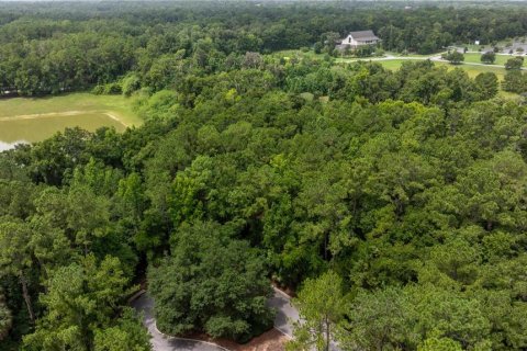 Land in BELLECHASE in Ocala, Florida № 1290017 - photo 2