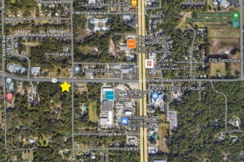 Land in DeLand, Florida № 1203516 - photo 2