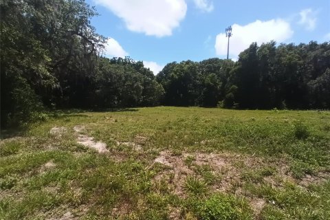 Land in DeLand, Florida № 1203516 - photo 5