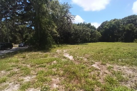 Land in DeLand, Florida № 1203516 - photo 6