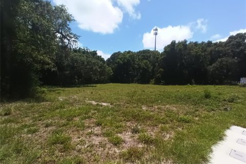 Land in DeLand, Florida № 1203516 - photo 7