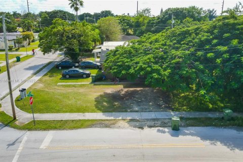 Terrain à vendre à Homestead, Floride № 160816 - photo 3
