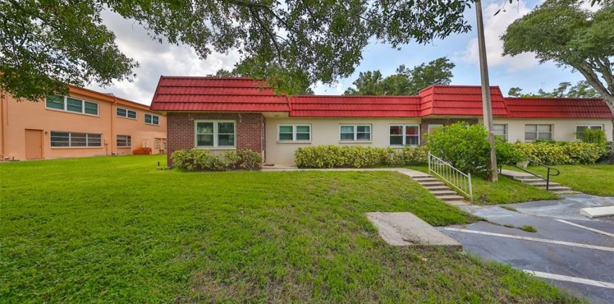 Condo à Saint Petersburg, Floride, 2 chambres  № 1369968