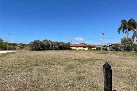 Land in Punta Gorda, Florida № 763558 - photo 19