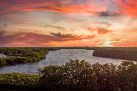 Land in Punta Gorda, Florida № 763558 - photo 10