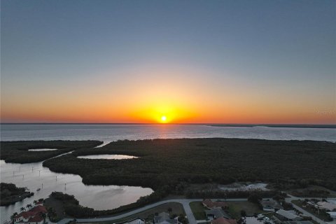 Land in Punta Gorda, Florida № 763558 - photo 12