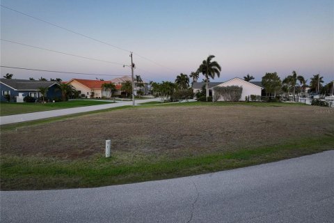 Land in Punta Gorda, Florida № 763558 - photo 15